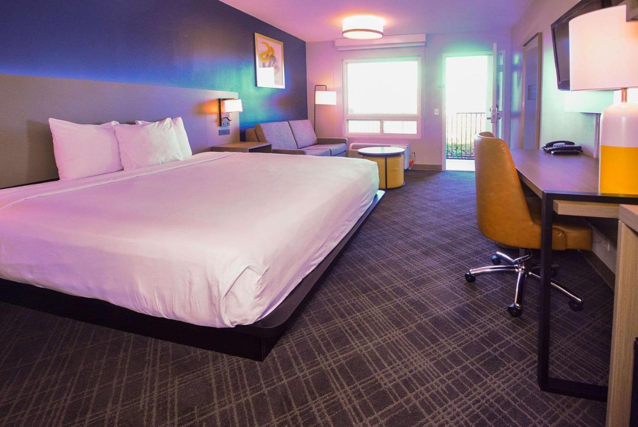 Comfort Inn Encinitas Near Legoland Kültér fotó