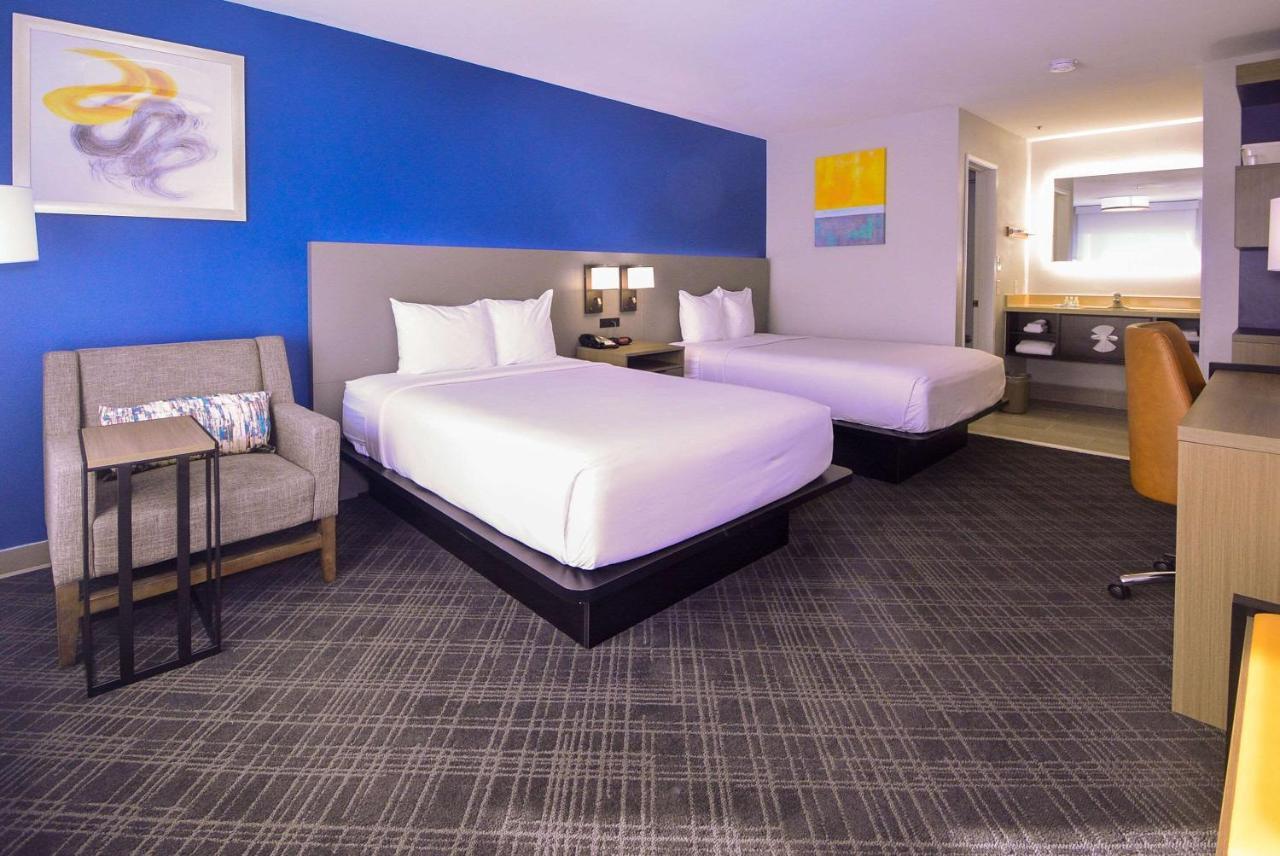 Comfort Inn Encinitas Near Legoland Kültér fotó